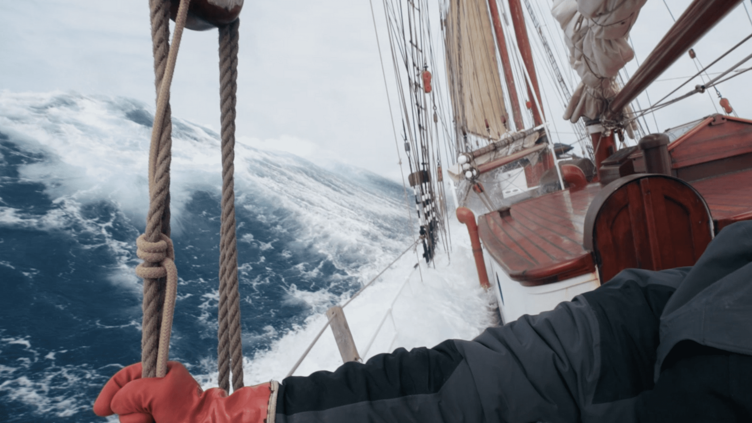 Daily Dive # 216 | Darwin200 Leg 27: Christchurch to the Falklands